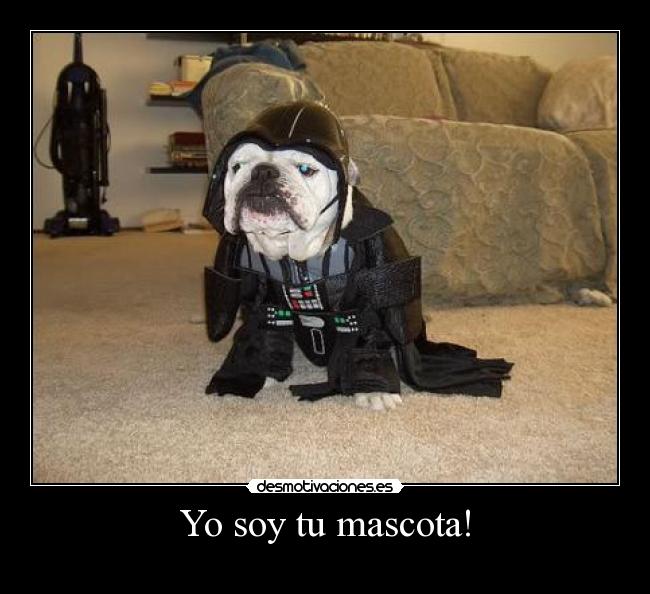 Yo soy tu mascota! -