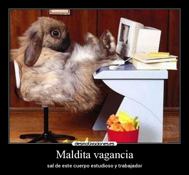 Maldita vagancia - sal de este cuerpo estudioso y trabajador