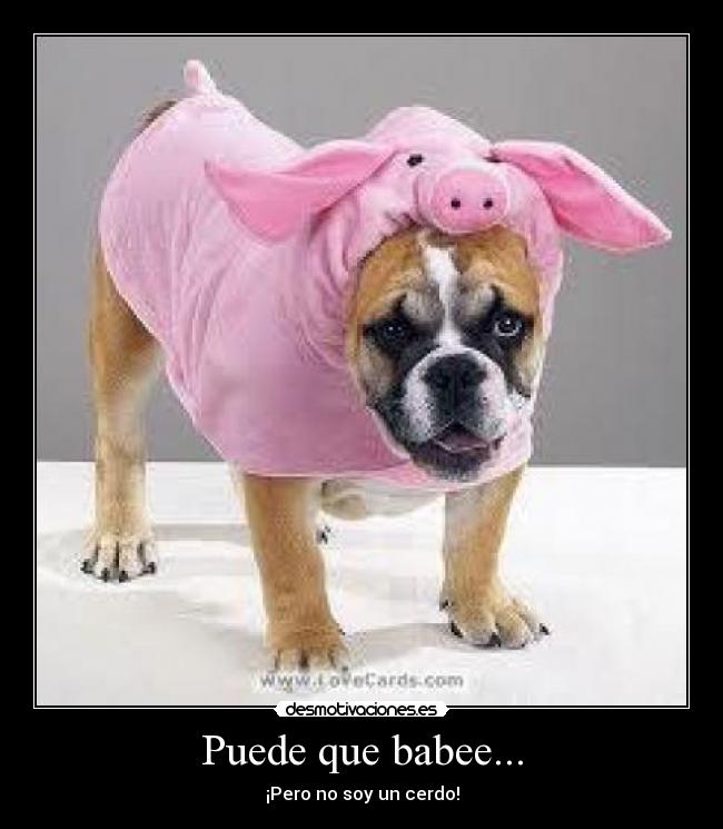 Puede que babee... - ¡Pero no soy un cerdo!