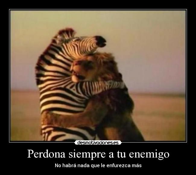 carteles enemigo leon zebra amistad enemigo tetas justin desmotivaciones