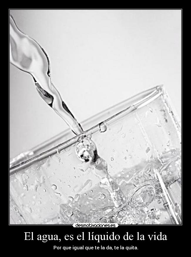 carteles vida naya desmotivaciones