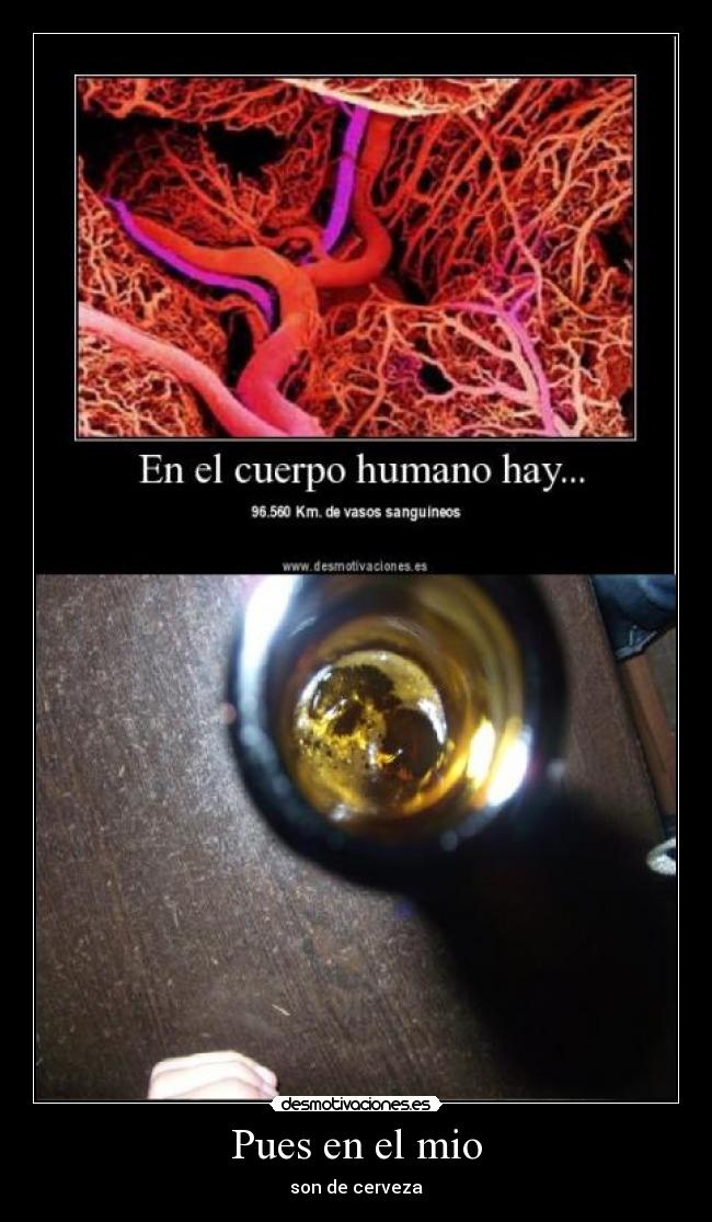 Pues en el mio - son de cerveza