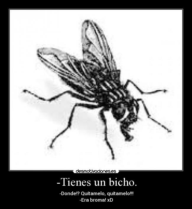 -Tienes un bicho. - 