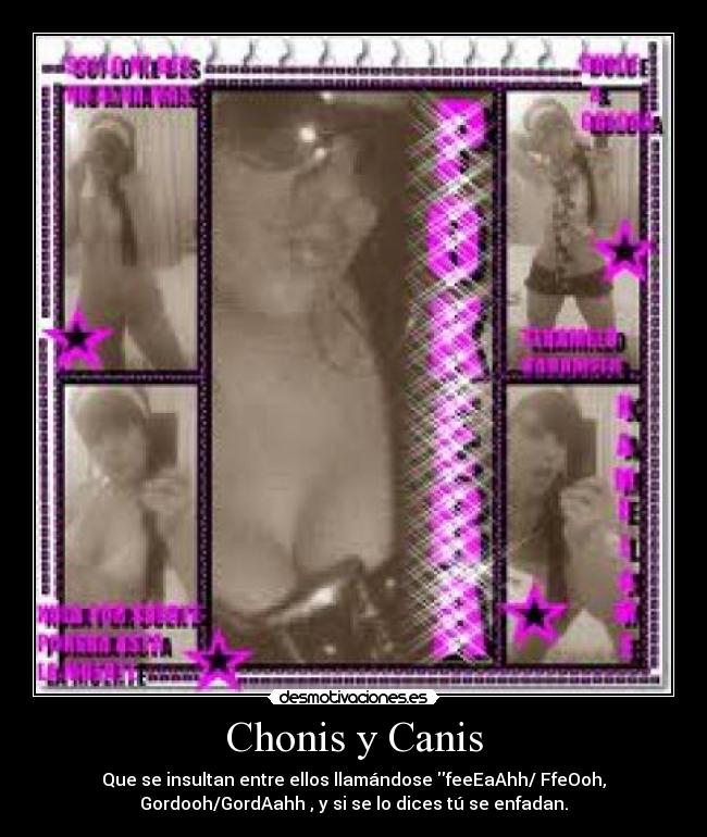 Chonis y Canis - 