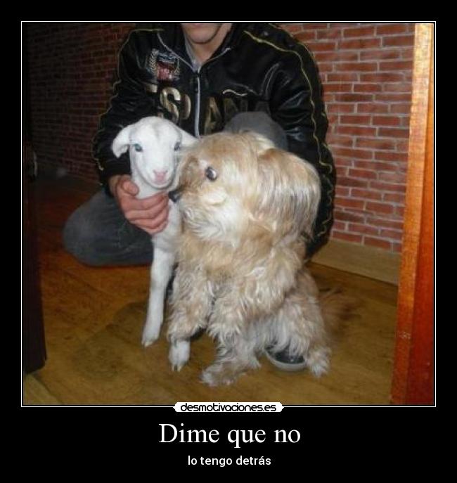 Dime que no - 