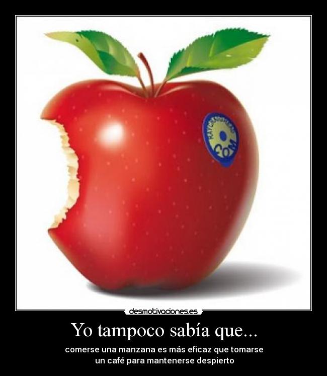 Yo tampoco sabía que... - 