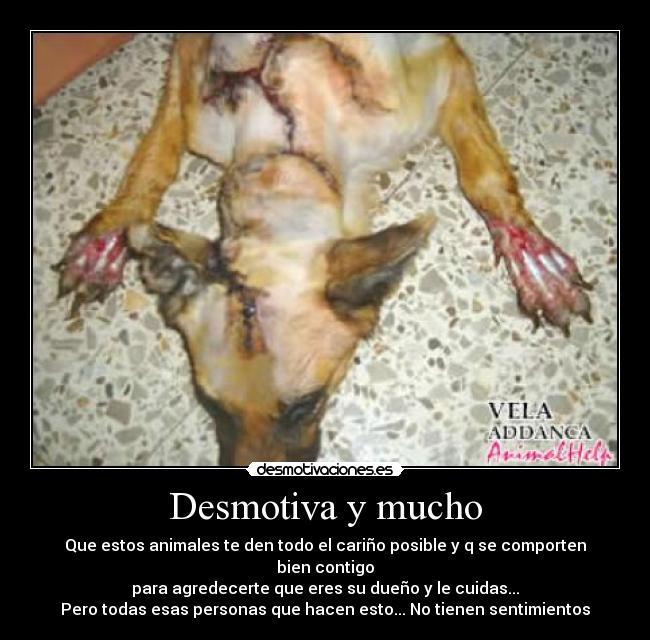Desmotiva y mucho - 