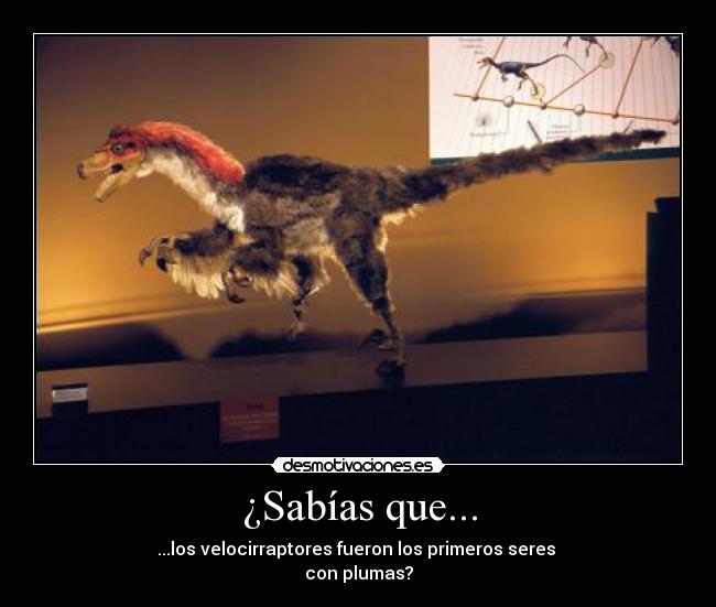 carteles si mito roto velocirraptor plumas desmotivaciones