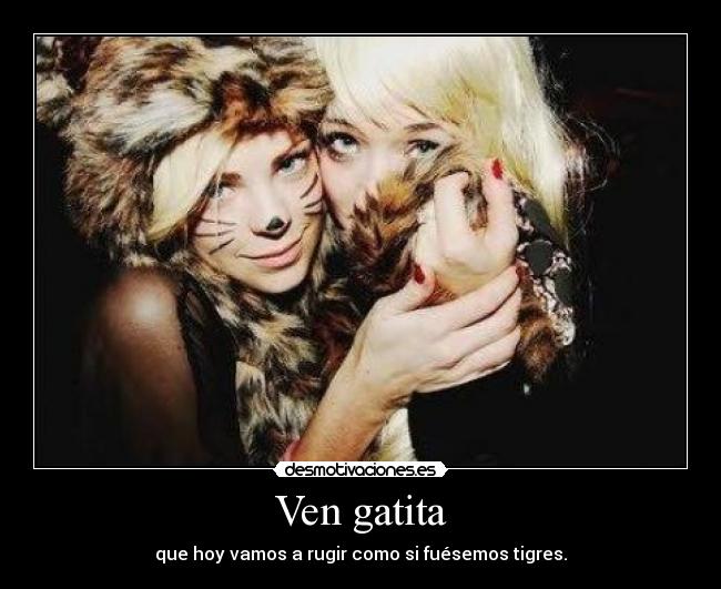 Ven gatita -