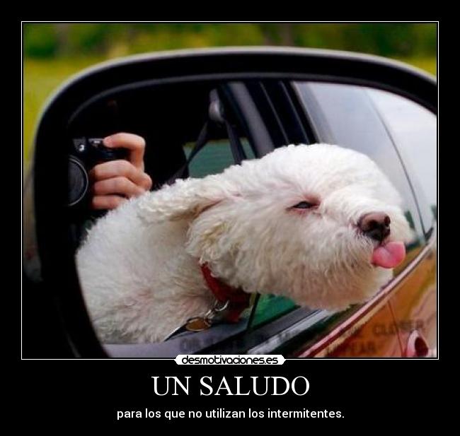 UN SALUDO -