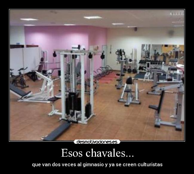 Esos chavales... - que van dos veces al gimnasio y ya se creen culturistas