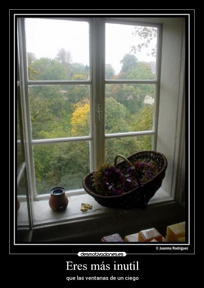 carteles ventana ciego desmotivaciones