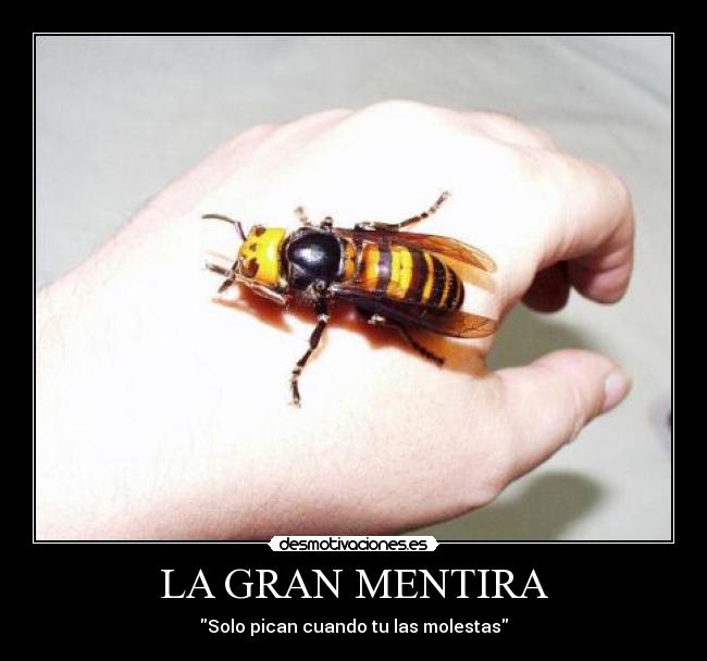 LA GRAN MENTIRA - Solo pican cuando tu las molestas