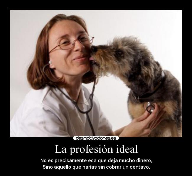 La profesión ideal - 