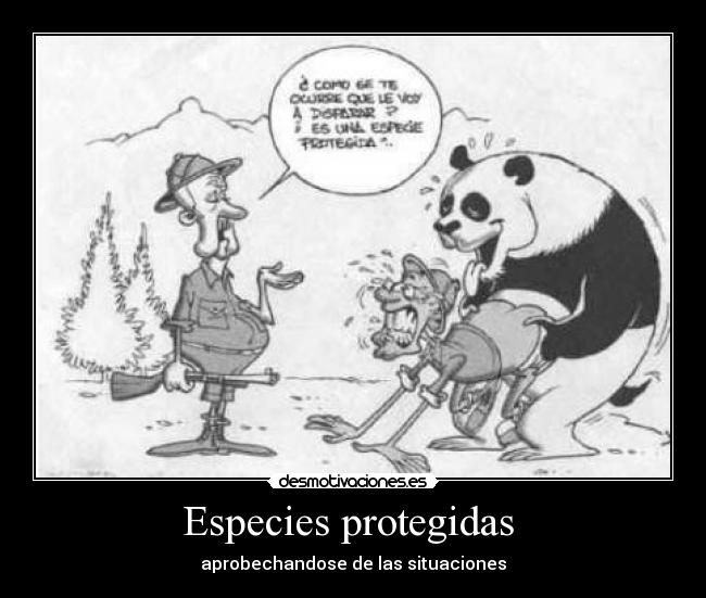 Especies protegidas -