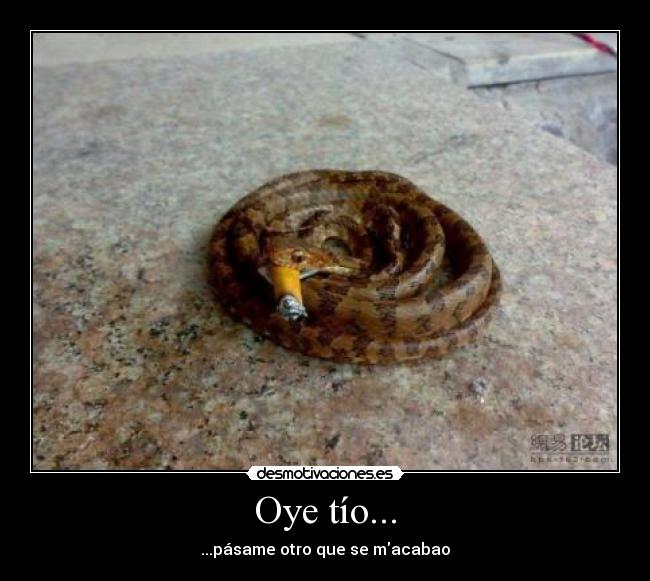 Oye tío... -