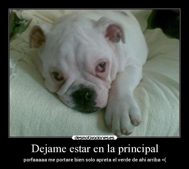 Dejame estar en la principal -