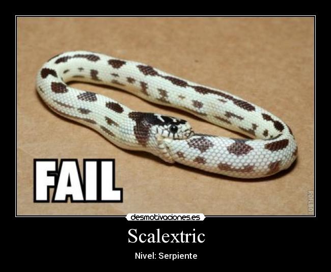 Scalextric - Nivel: Serpiente