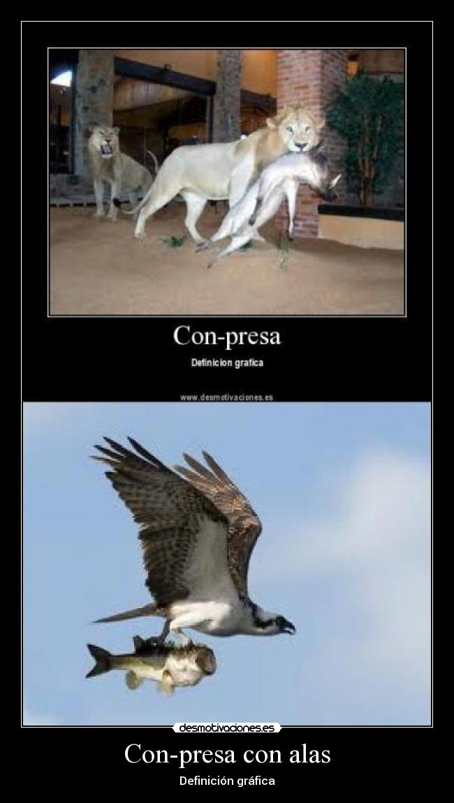 Con-presa con alas -