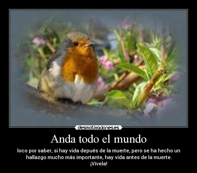 Anda todo el mundo - 