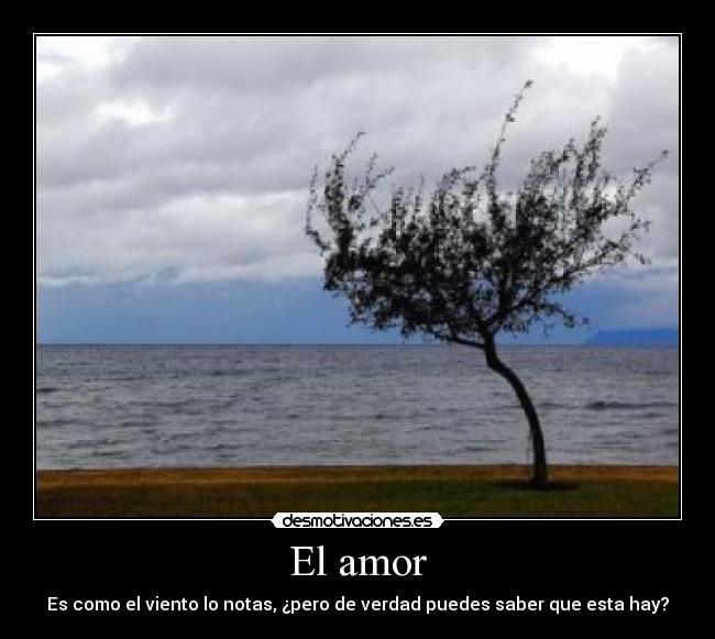 El amor - Es como el viento lo notas, ¿pero de verdad puedes saber que esta hay?