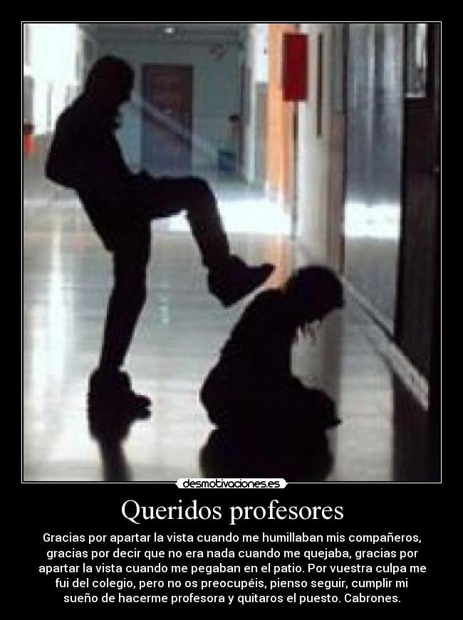 Queridos profesores - 