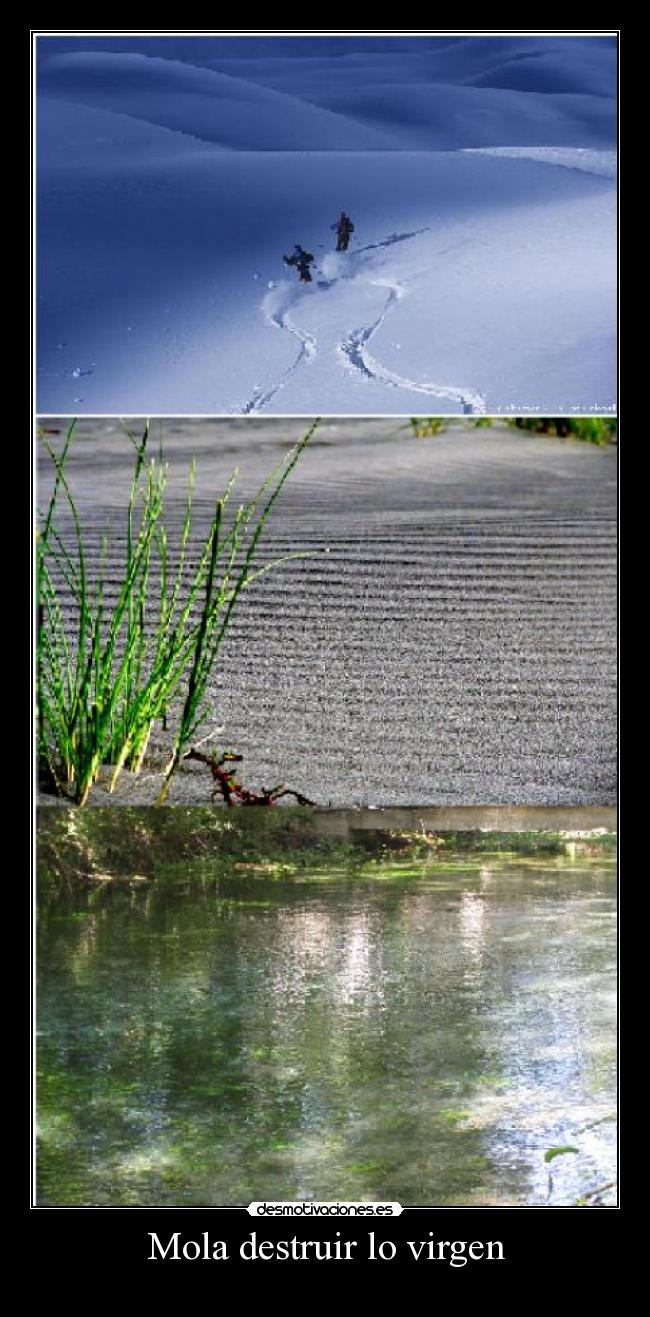 Mola destruir lo virgen - 