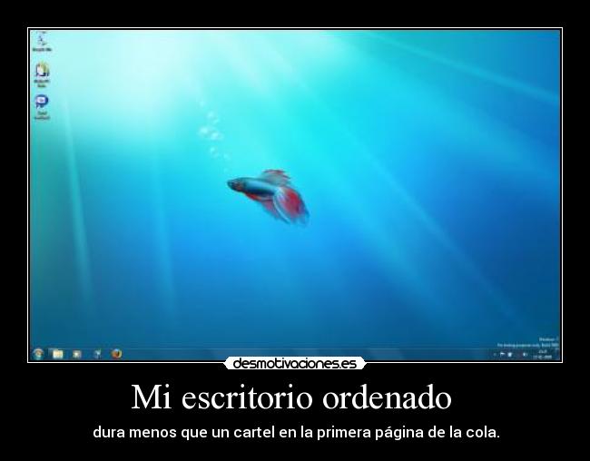 Mi escritorio ordenado -