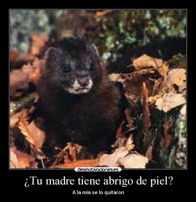 ¿Tu madre tiene abrigo de piel? - 