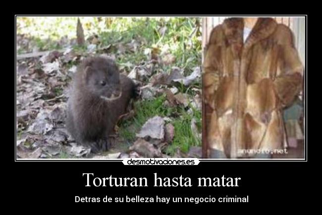 Torturan hasta matar - Detras de su belleza hay un negocio criminal