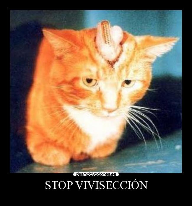 STOP VIVISECCIÓN - 