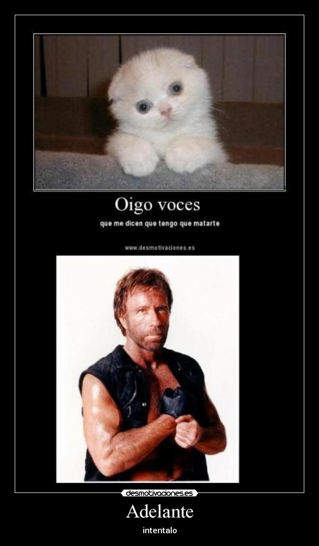 Adelante - intentalo