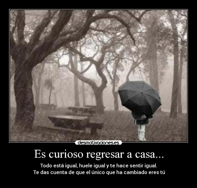 Es curioso regresar a casa... -