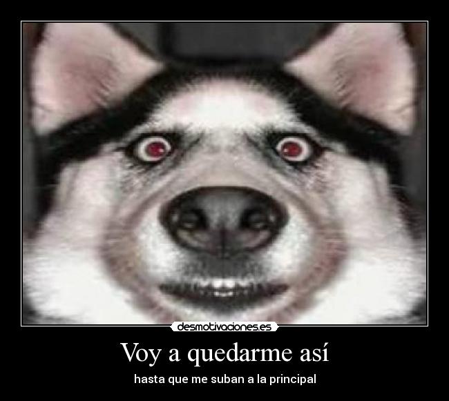 Voy a quedarme así - hasta que me suban a la principal