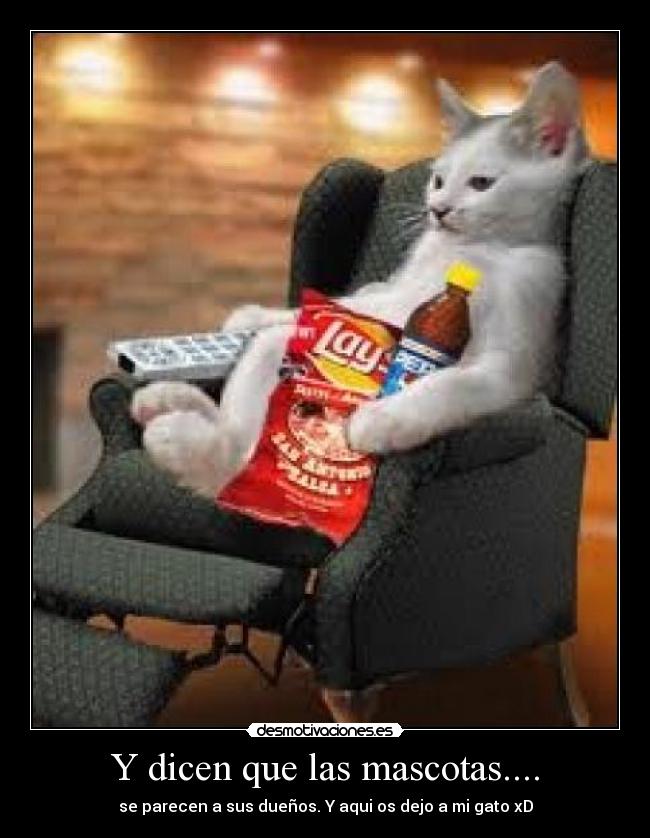 Y dicen que las mascotas.... - 