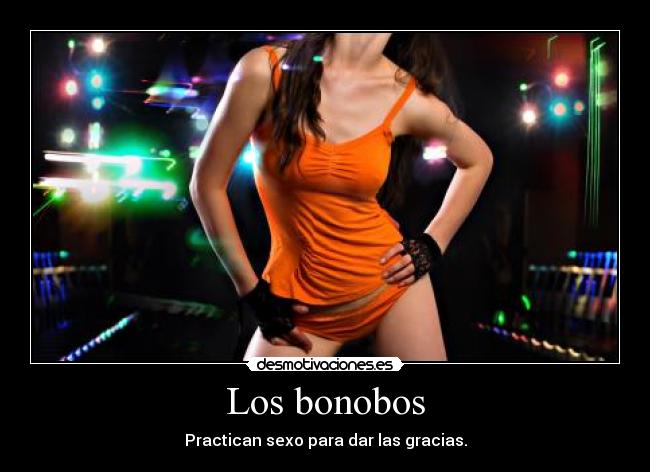 Los bonobos - Practican sexo para dar las gracias.