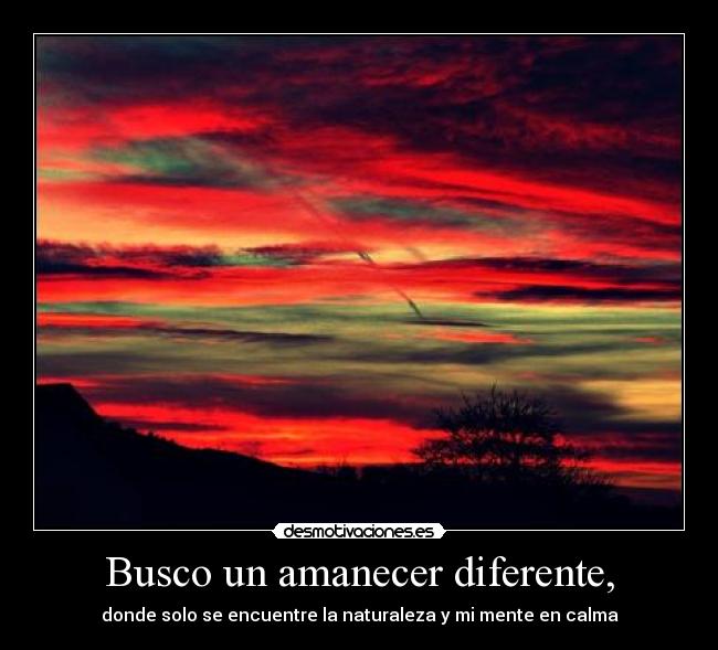 Busco un amanecer diferente, - donde solo se encuentre la naturaleza y mi mente en calma