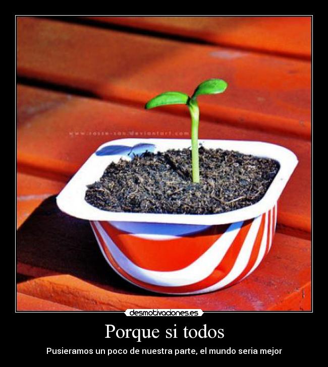 Porque si todos - 