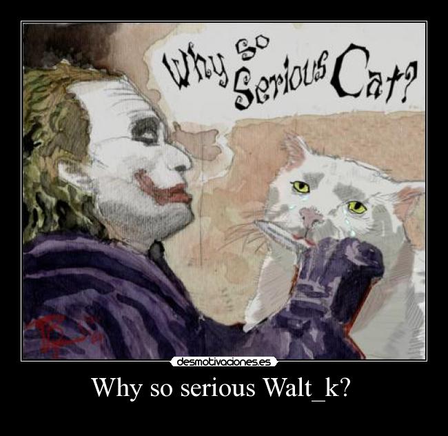 carteles why serious walt_k batman guazon desmotivaciones