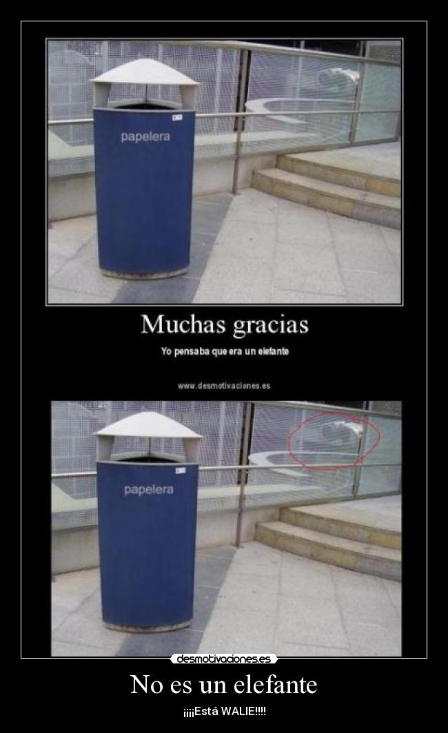 No es un elefante - 