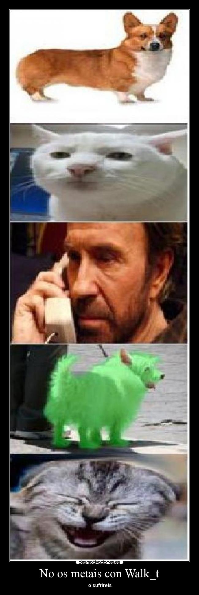 No os metais con Walk_t -