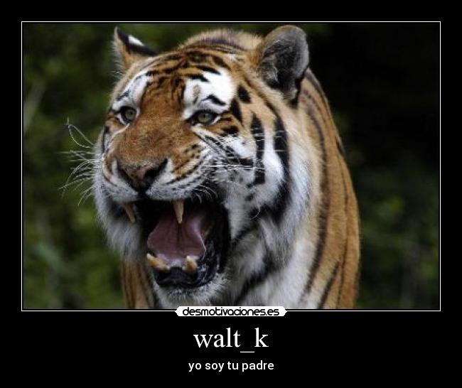 walt_k - 