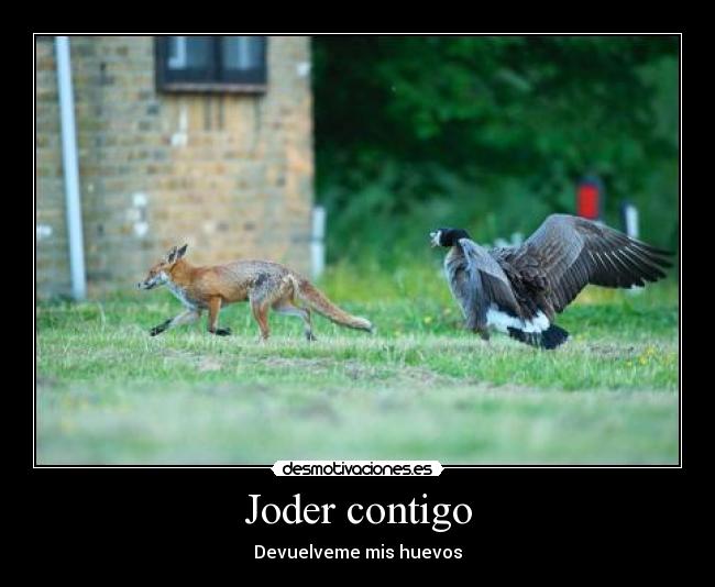 carteles joder contigo desmotivaciones