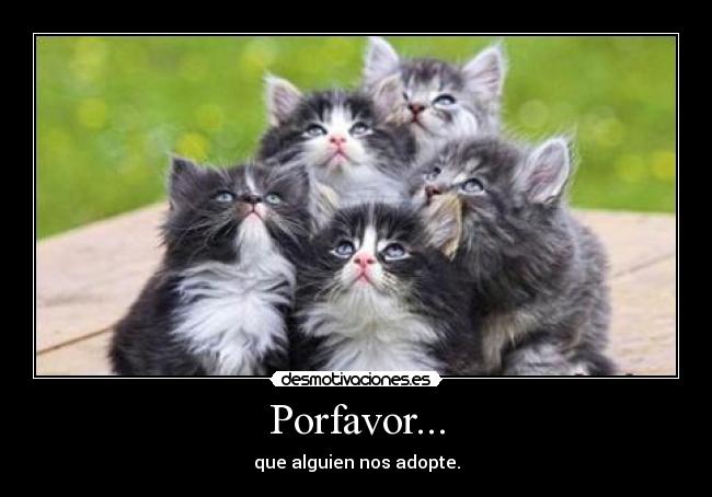 Porfavor... -
