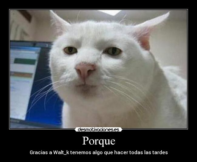 Porque - Gracias a Walt_k tenemos algo que hacer todas las tardes