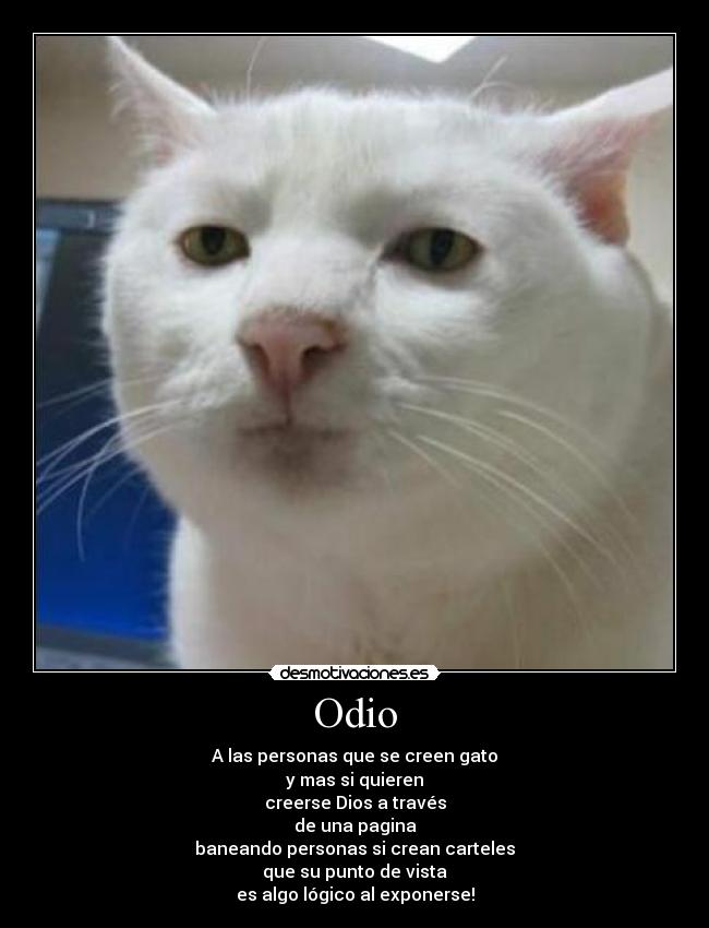 Odio - A las personas que se creen gato
y mas si quieren
creerse Dios a través
de una pagina
baneando personas si crean carteles
que su punto de vista
es algo lógico al exponerse!