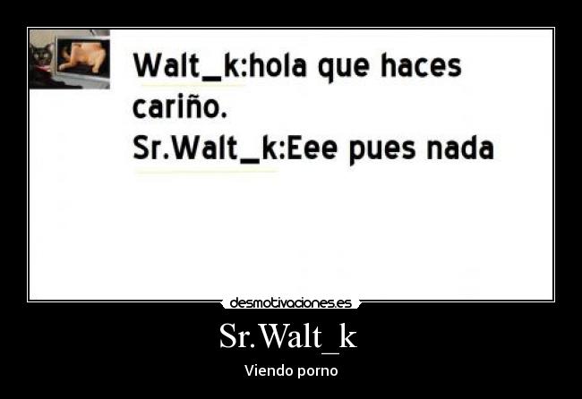 Sr.Walt_k  - Viendo porno