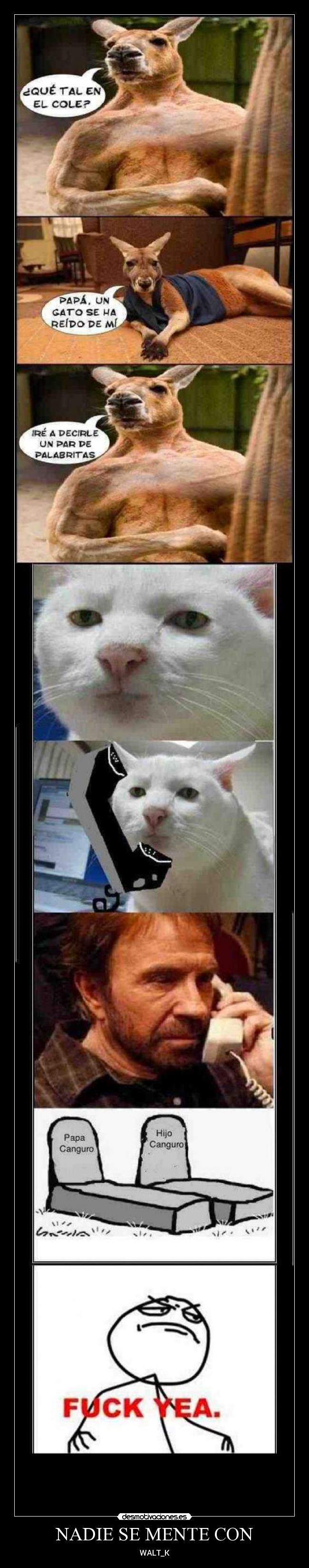 NADIE SE MENTE CON - WALT_K