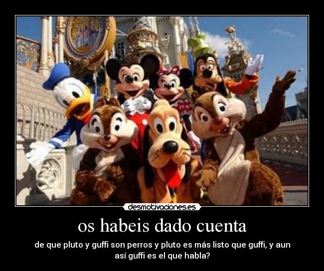 os habeis dado cuenta - 