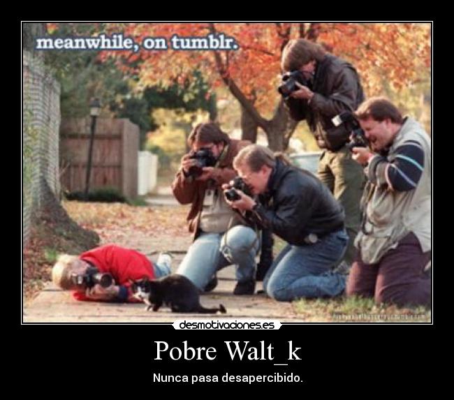 Pobre Walt_k -